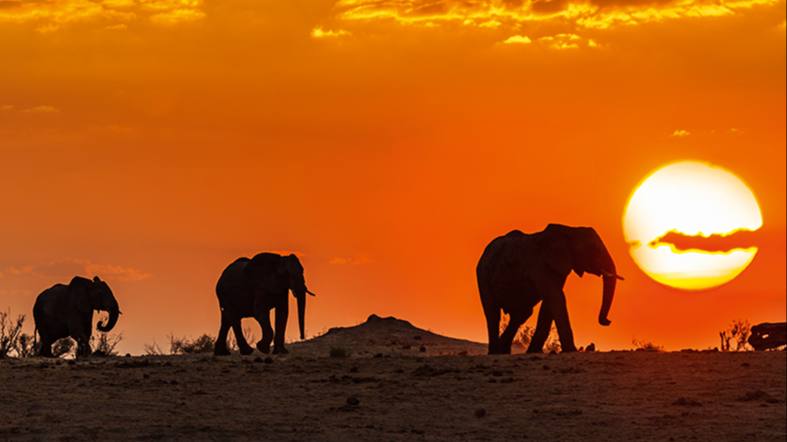 SÜDAFRIKA – DAS ABENTEUER Backdrop